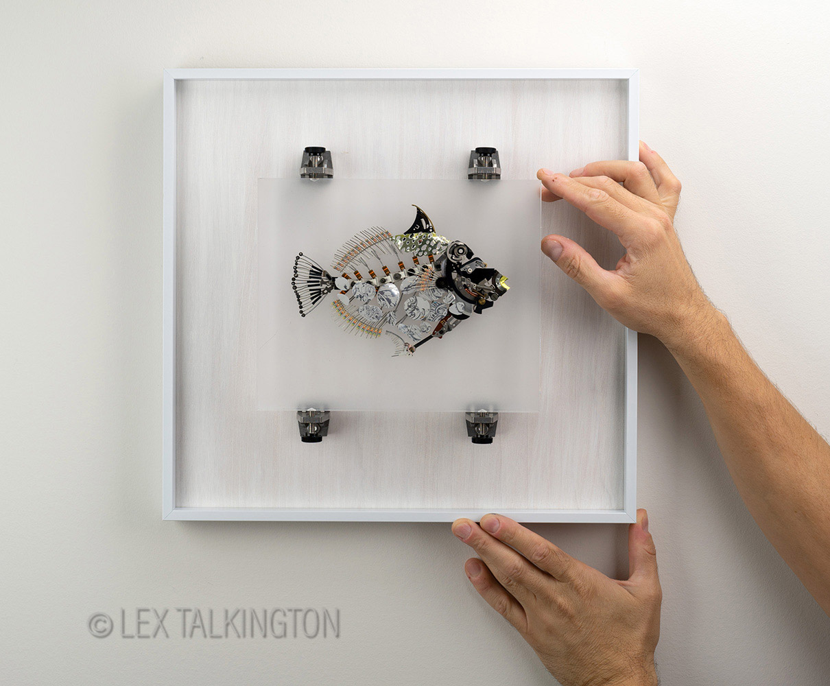 Lex Talkington Art