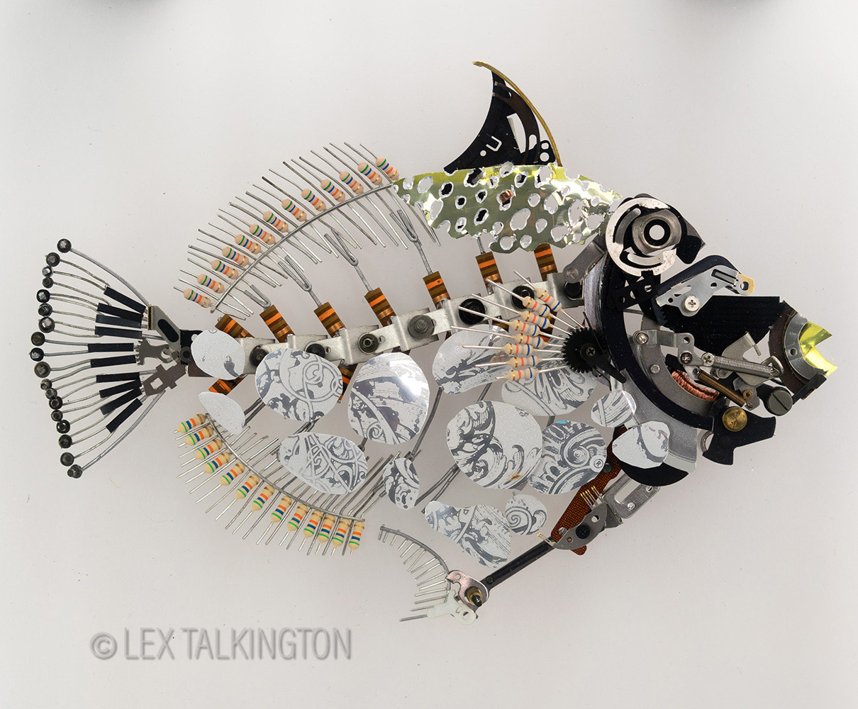 Lex Talkington Art