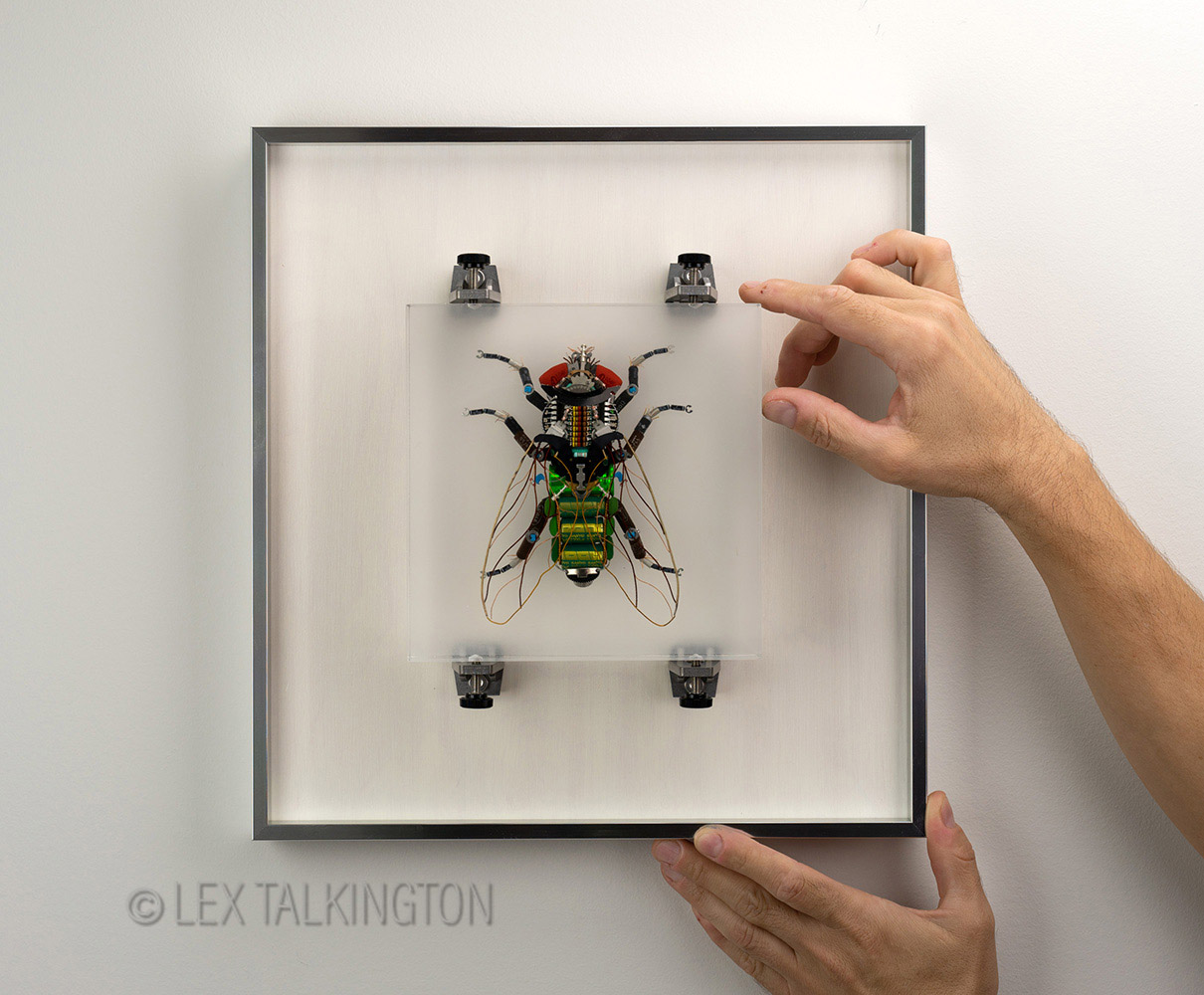 Lex Talkington Art