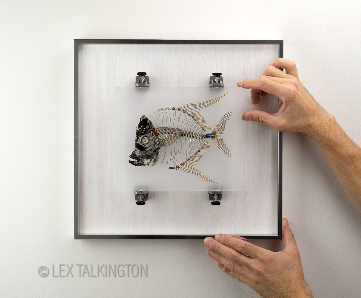 Lex Talkington Art